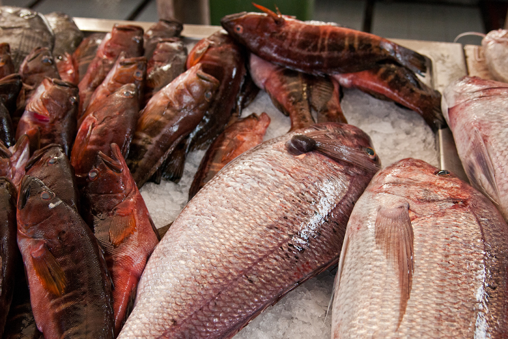 643_Madera_Funchal - targ Mercado dos Lavradores.jpg